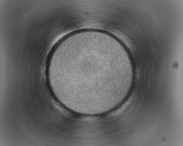 X0000101430830200808041149