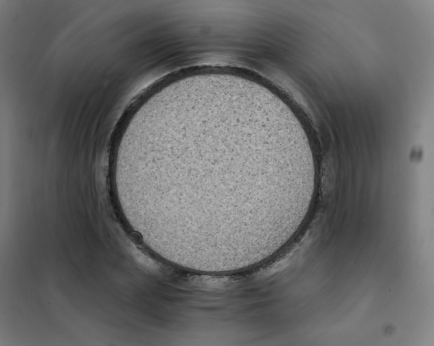 X0000101430831200808041149