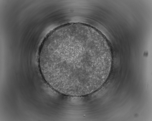 X0000101430832200808041149