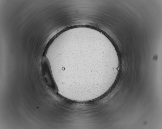 X0000101430834200808041150