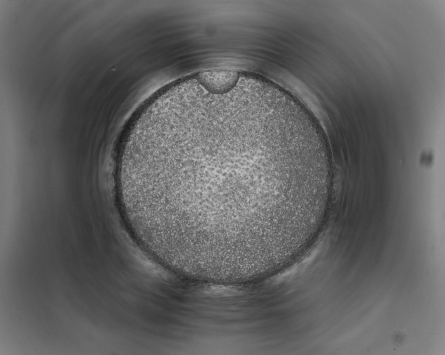 X0000101430835200808041150