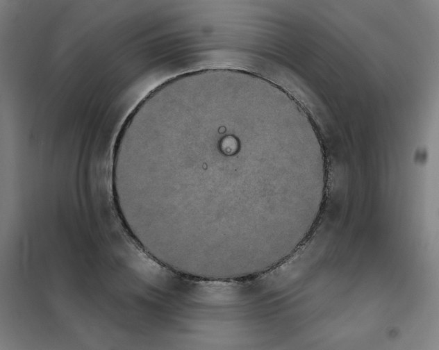 X0000101430836200808041150