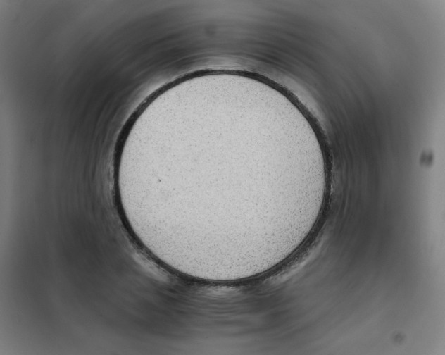 X0000101430837200808041150