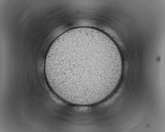 X0000101430841200808041150