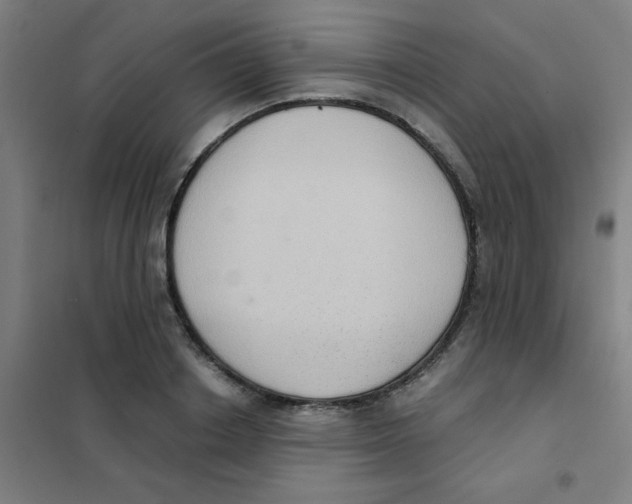 X0000101430842200808041150