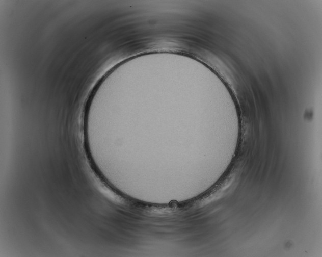 X0000101430843200808041150