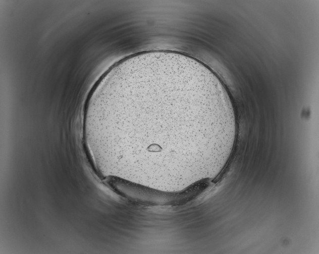 X0000101430844200808041150