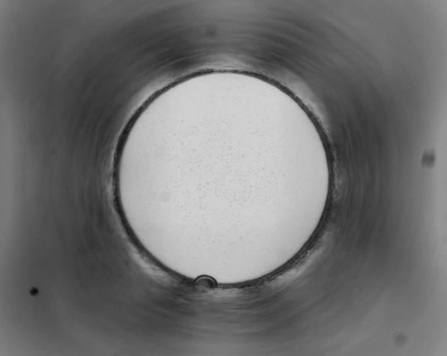 X0000101430845200808041150