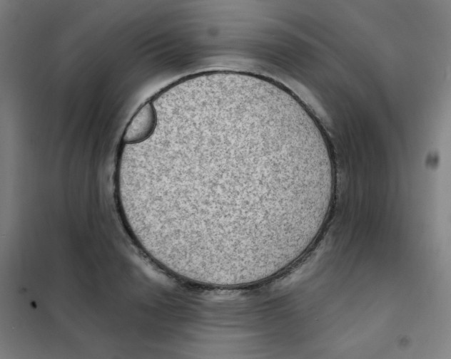 X0000101430846200808041150