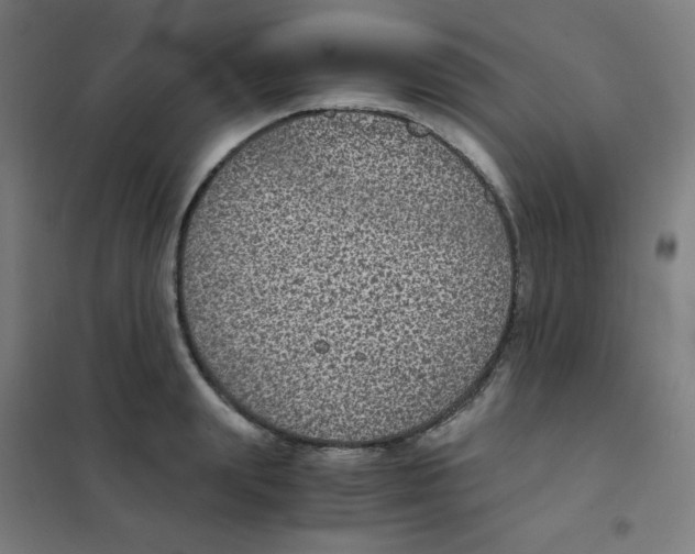 X0000101430847200808041150