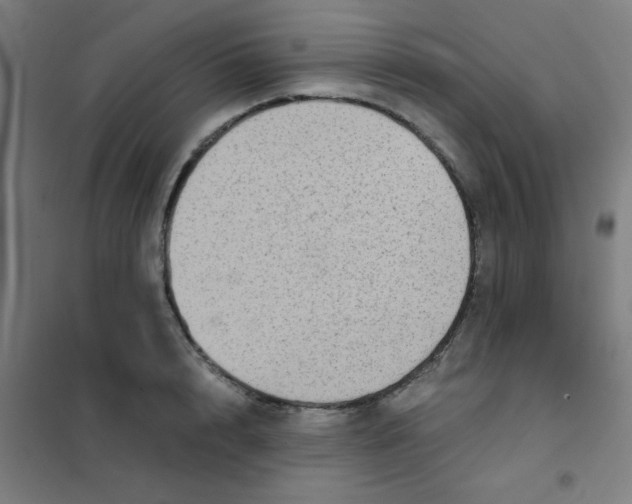 X0000101430848200808041150