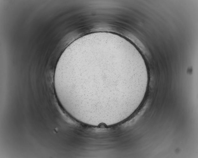 X0000101430849200808041150