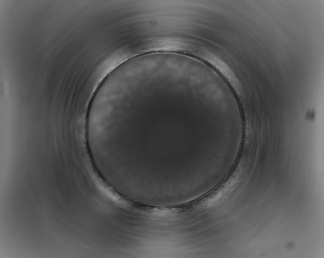 X0000101430850200808041150