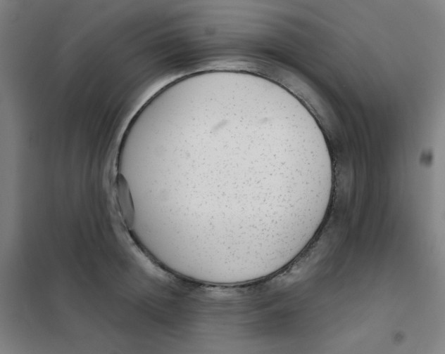 X0000101430852200808041150