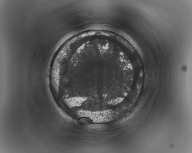 X0000101430853200808041150