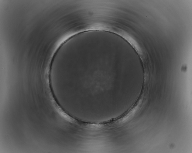 X0000101430854200808041150