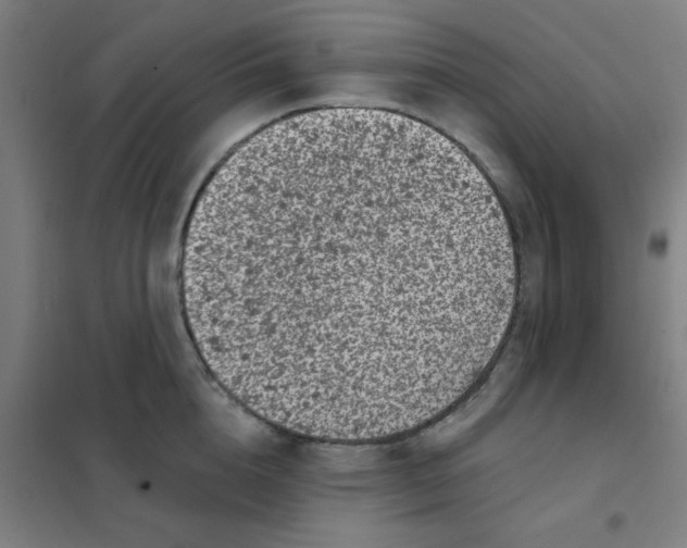 X0000101430856200808041150