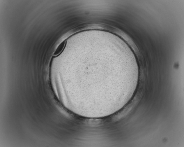 X0000101430858200808041150