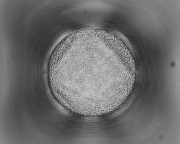 X0000101430859200808041150