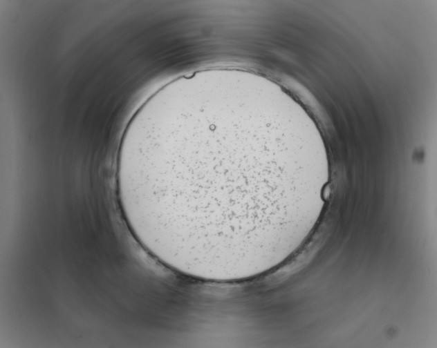 X0000101430860200808041150