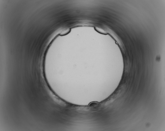 X0000101430861200808041150