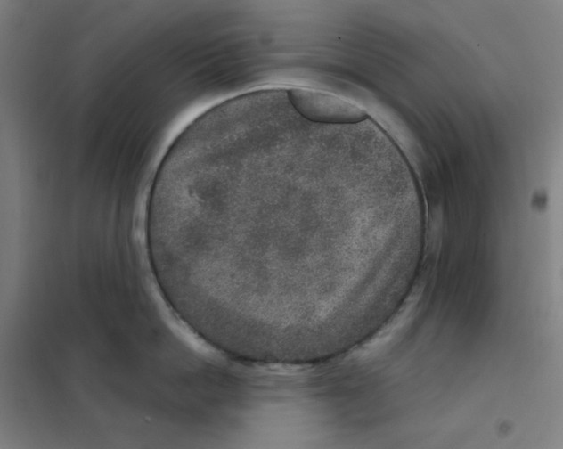 X0000101430862200808041150