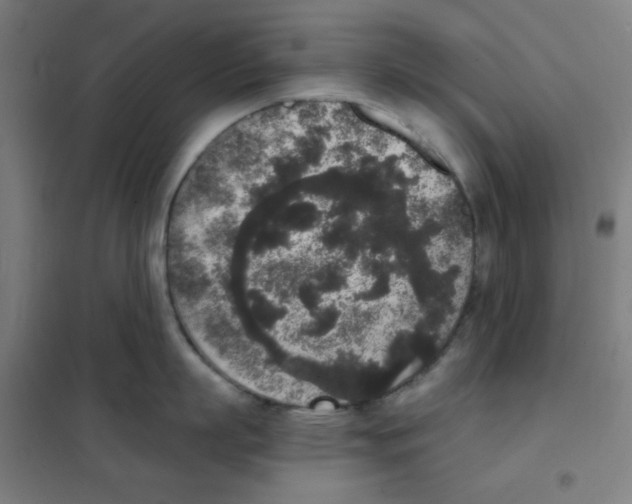 X0000101430863200808041150