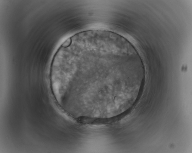 X0000101430864200808041150