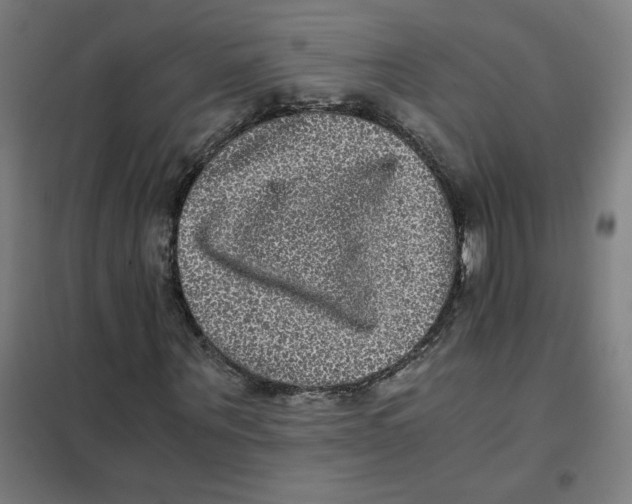 X0000101430867200808041149