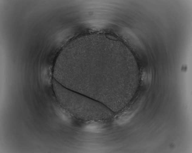 X0000101430868200808041149