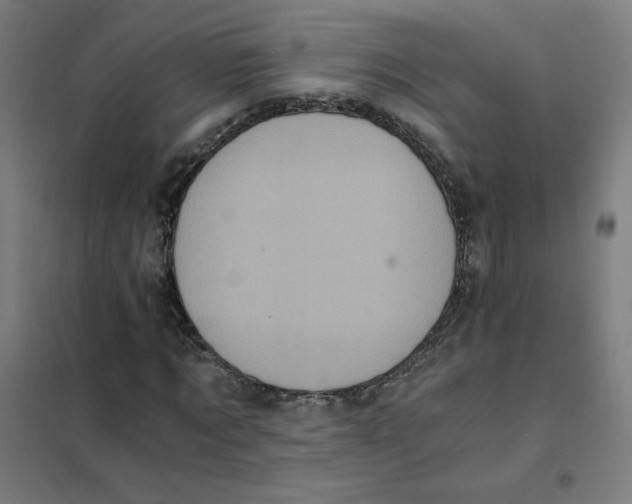 X0000101430869200808041149