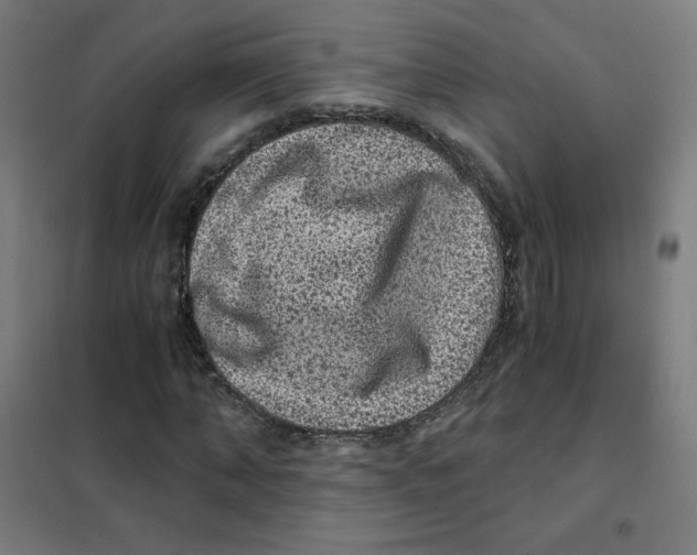 X0000101430870200808041149