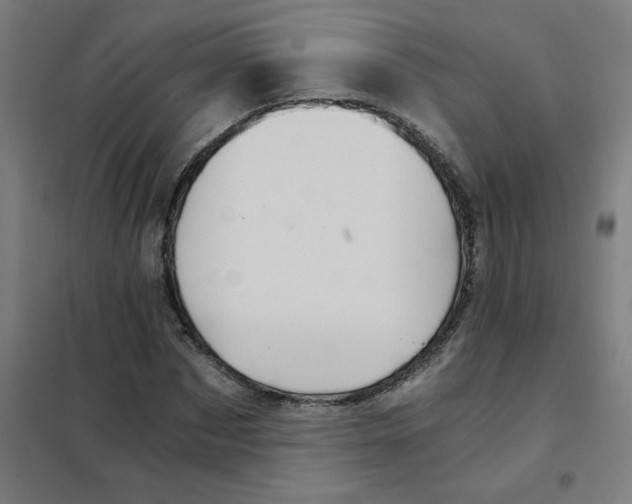 X0000101430873200808041149