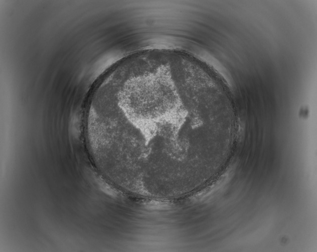 X0000101430874200808041149