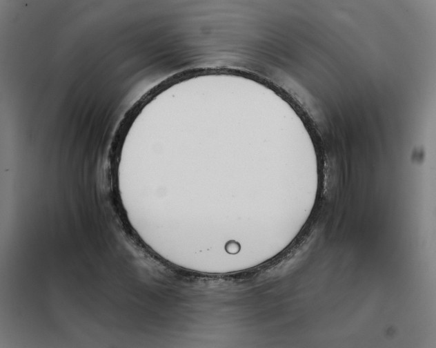 X0000101430876200808041149