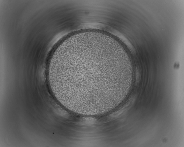 X0000101430878200808041149