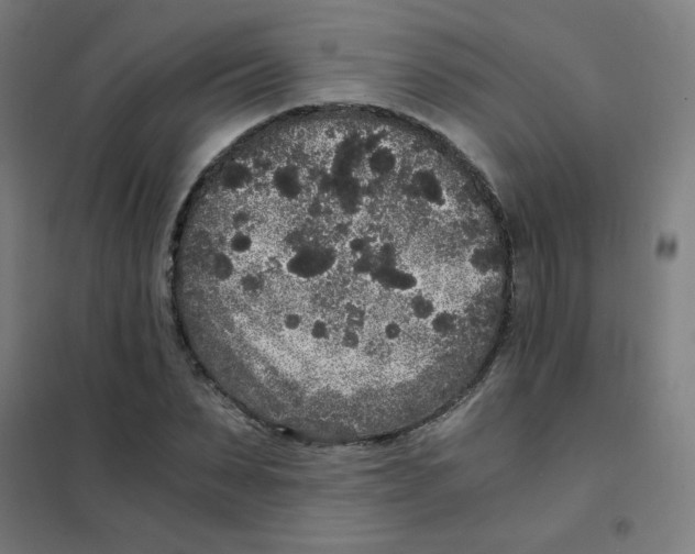 X0000101430879200808041149