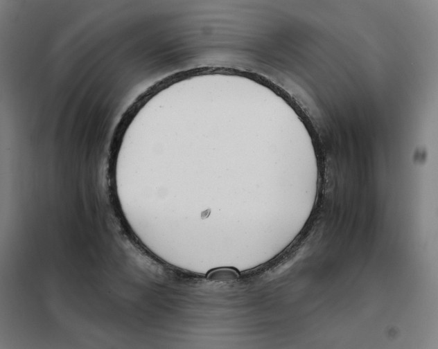 X0000101430880200808041149