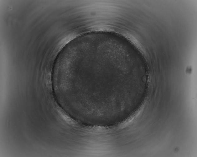 X0000101430881200808041149