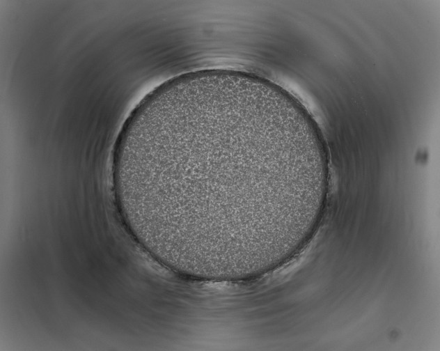 X0000101430883200808041149