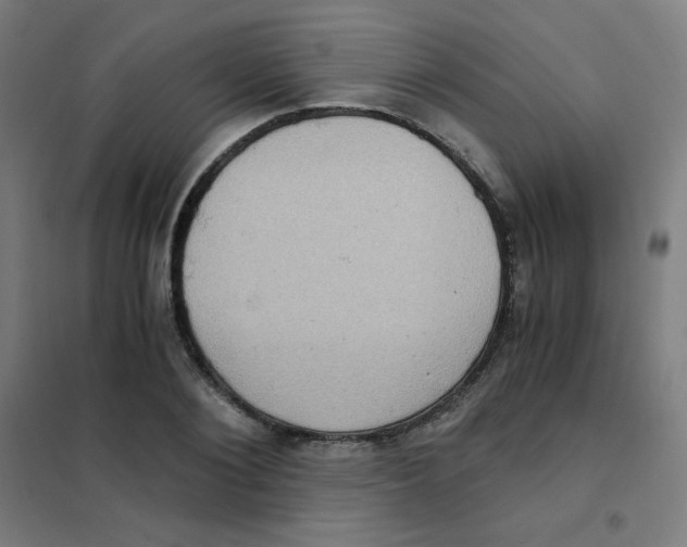 X0000101430884200808041149