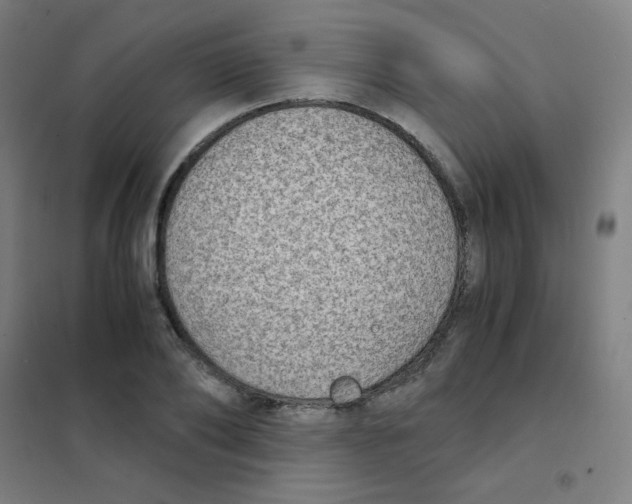 X0000101430886200808041149