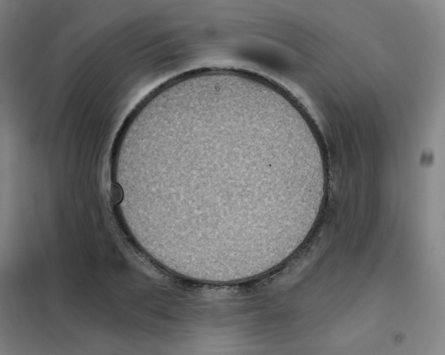 X0000101430887200808041149