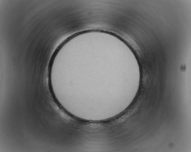 X0000101430888200808041149