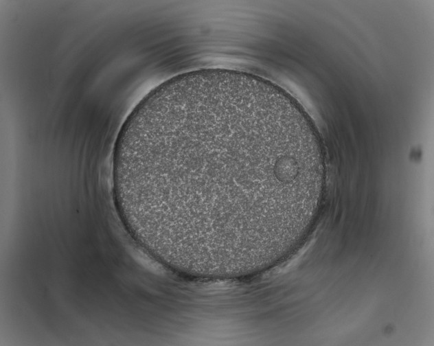 X0000101430891200808041149