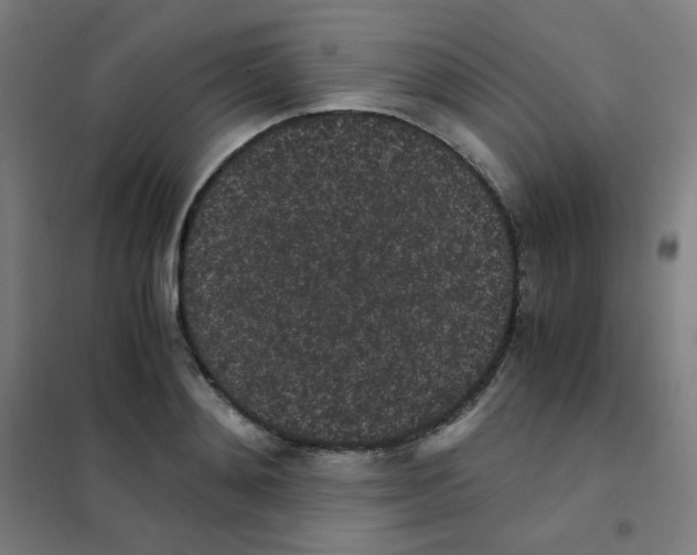 X0000101430892200808041149