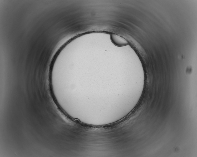 X0000101430894200808041149