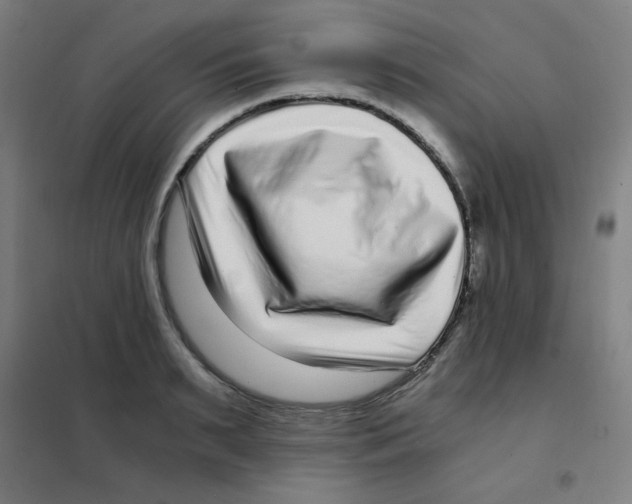 X0000101430895200808041149