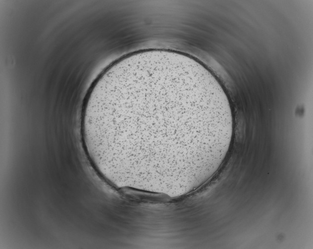 X0000101430896200808041149