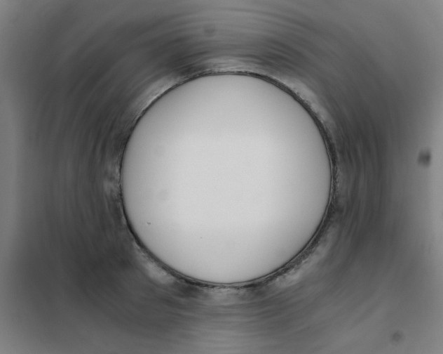 X0000101430897200808041149